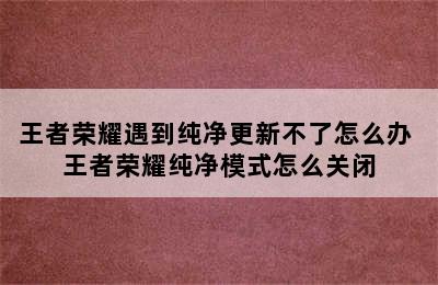 王者荣耀遇到纯净更新不了怎么办 王者荣耀纯净模式怎么关闭